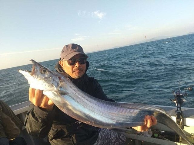 タチウオ