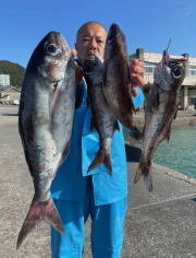 クロムツ・メダイ