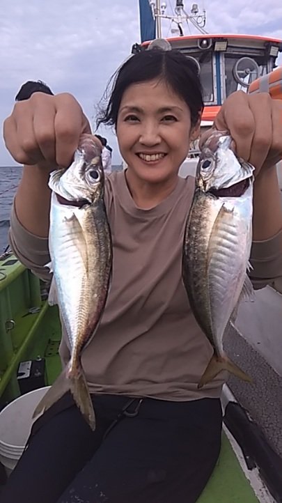 アジ(マアジ)