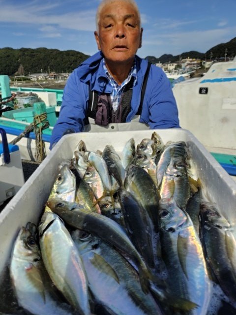 アジ(マアジ)