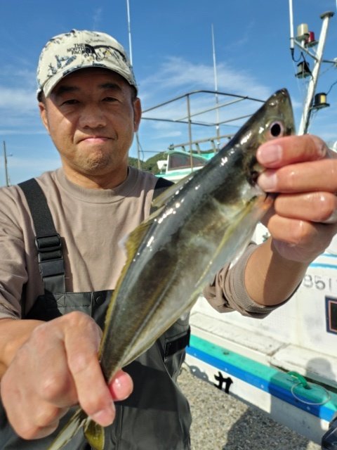 アジ(マアジ)
