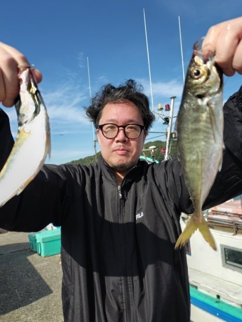 アジ(マアジ)