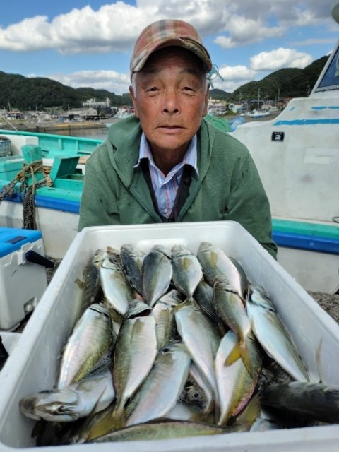 アジ(マアジ)
