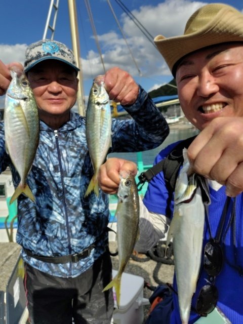 アジ(マアジ)