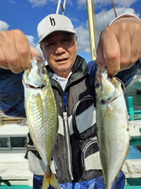 アジ(マアジ)