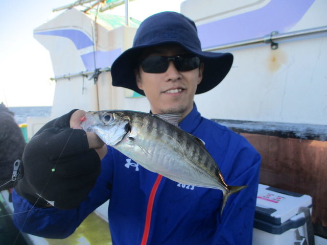 アジ(マアジ)