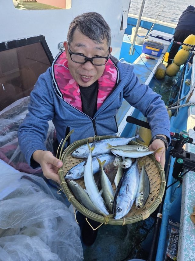 アジ(マアジ)・ヒラソウダ