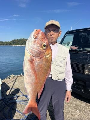 マダイ