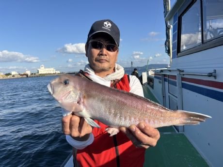 シロアマダイ