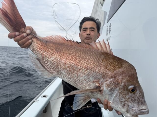 マダイ