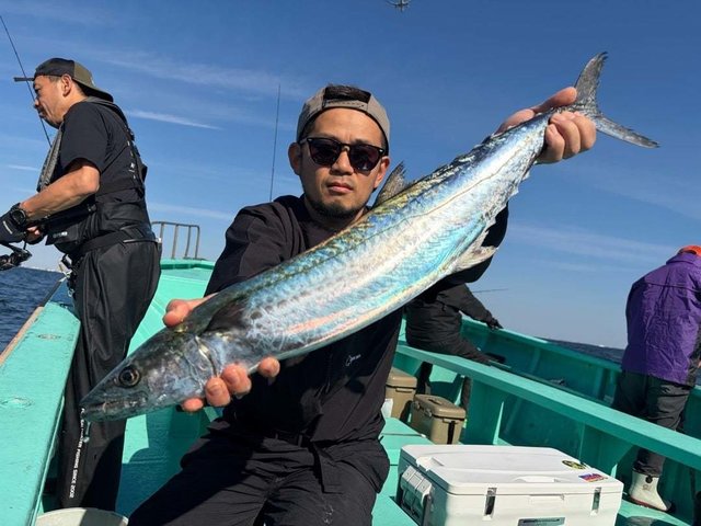 サワラ