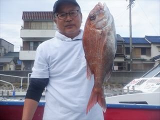 マダイ