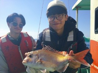 マダイ