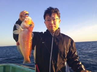 アマダイ(アカアマダイ)