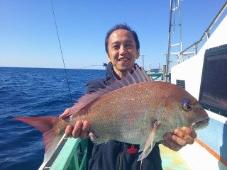 マダイ
