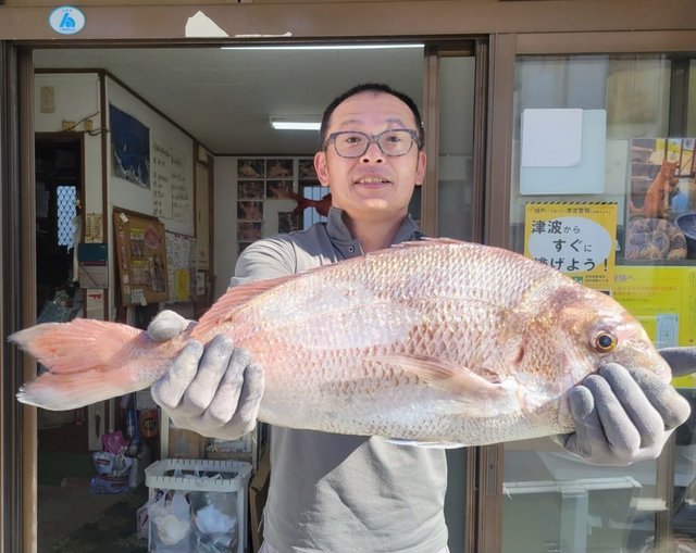 マダイ