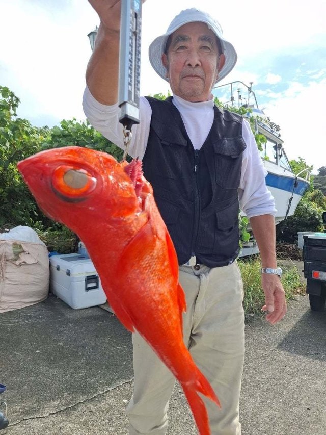 キンメ(キンメダイ)