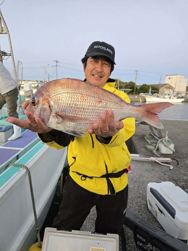 マダイ