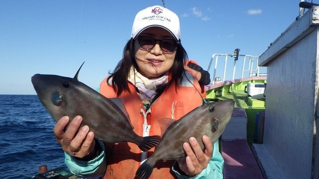 ウマヅラハギ
