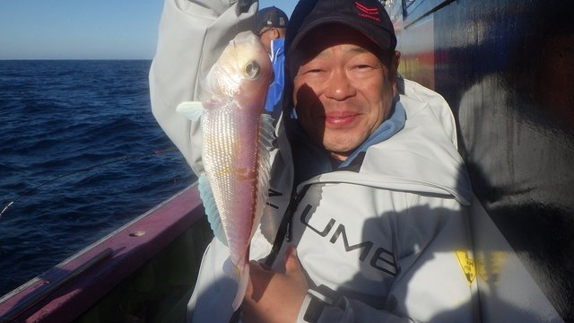 アマダイ(アカアマダイ)