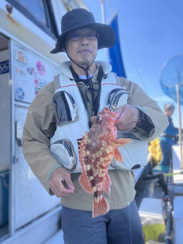 カサゴ