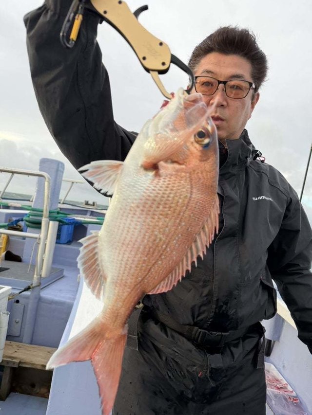 マダイ