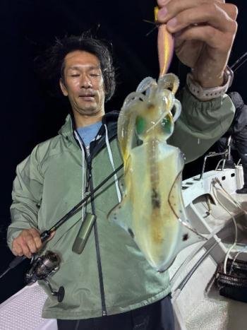 アオリイカ