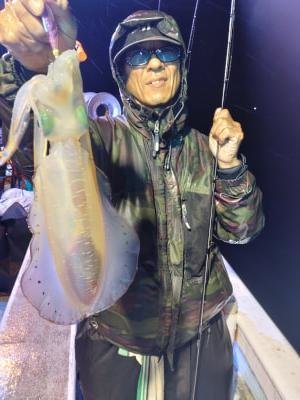 アオリイカ