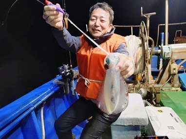 アオリイカ