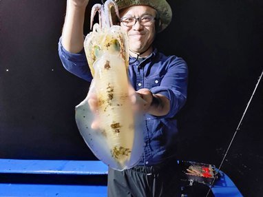 アオリイカ