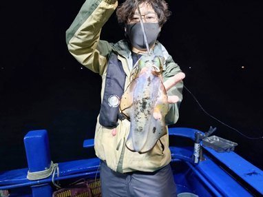 アオリイカ