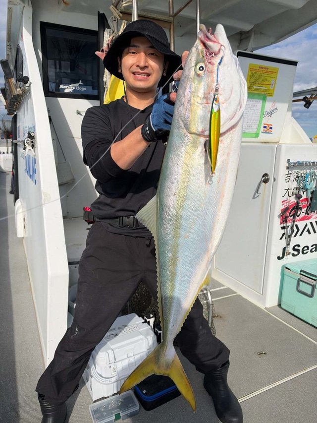 ハマチ(ブリ)