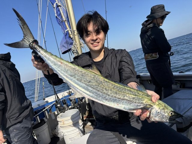 サワラ