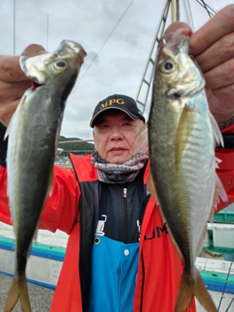アジ(マアジ)