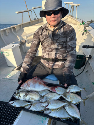マダイ・カイワリ
