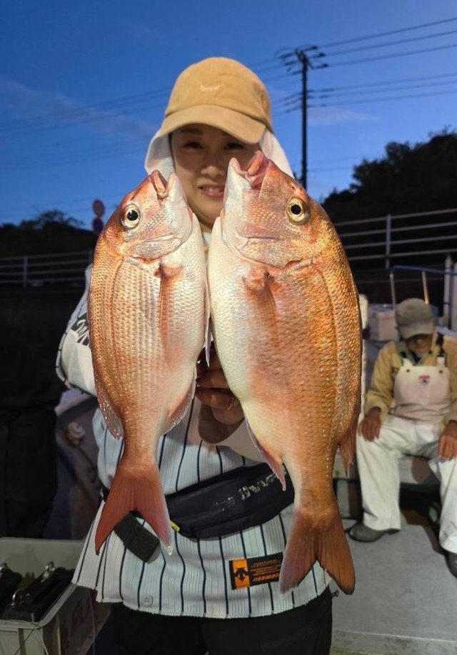 マダイ