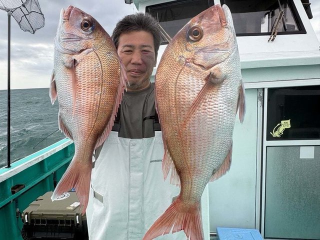 マダイ