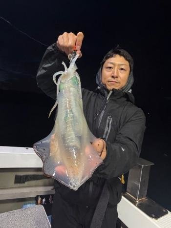 アオリイカ