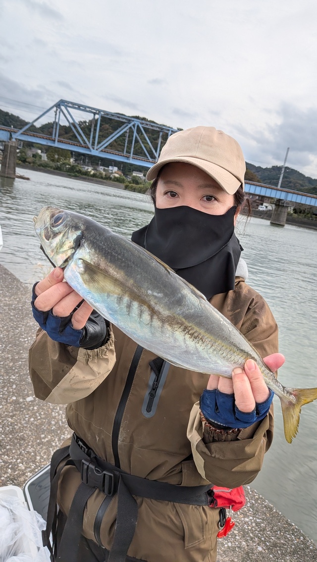 アジ(マアジ)
