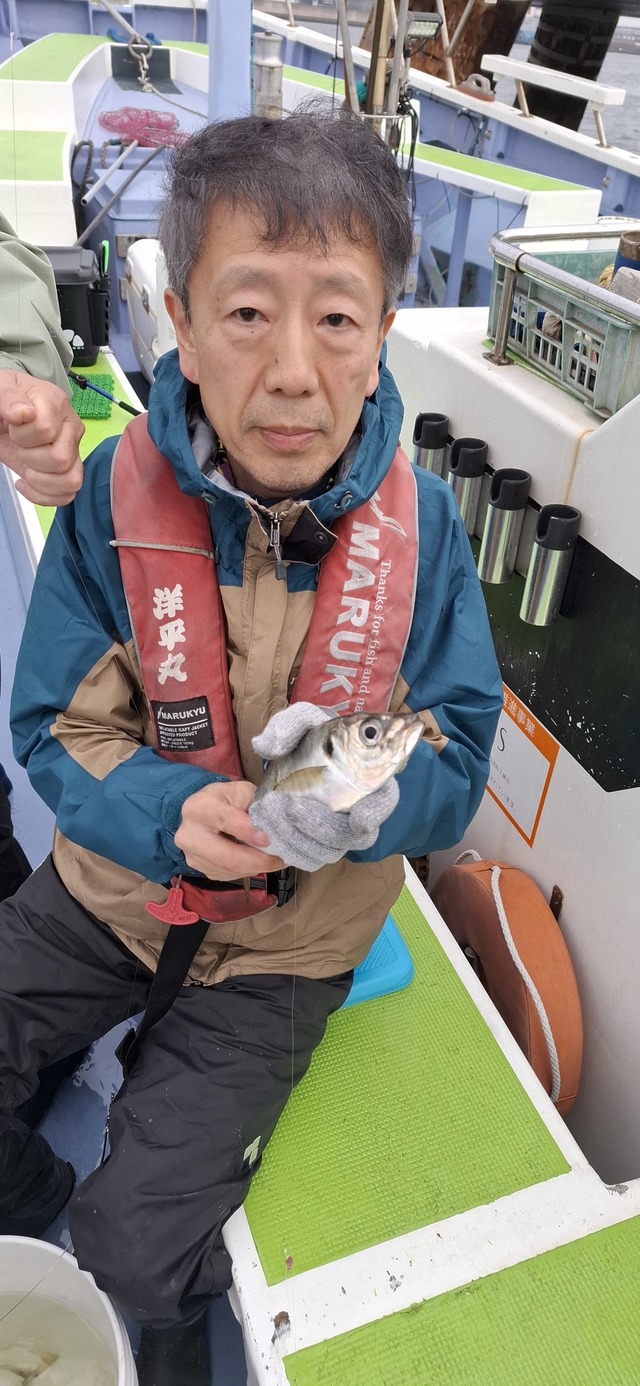 アジ(マアジ)