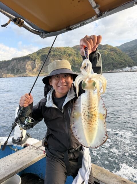 アオリイカ
