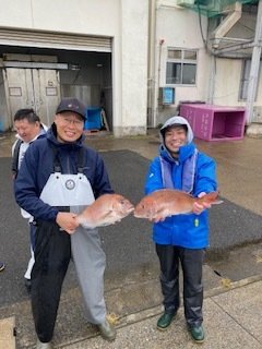 マダイ