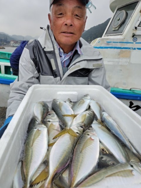 アジ(マアジ)