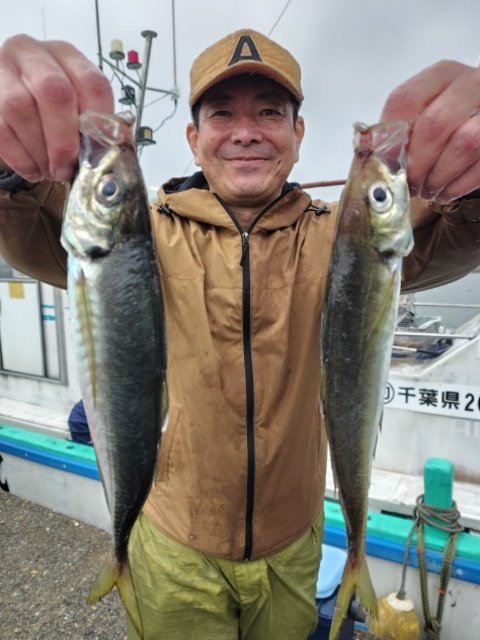 アジ(マアジ)