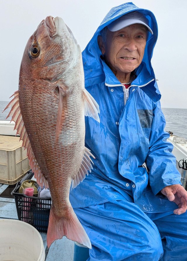 マダイ