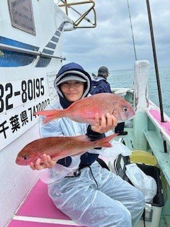 マダイ