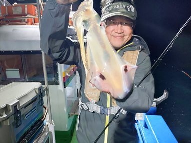 アオリイカ