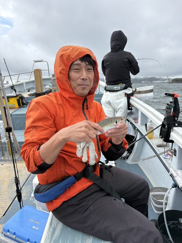 アジ(マアジ)