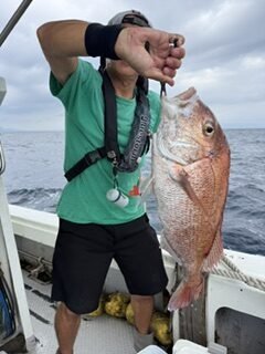 マダイ