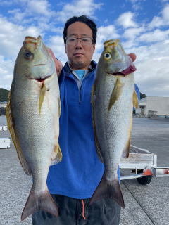 クロムツ